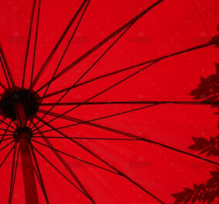 demo-attachment-1549-loic-furhoff-YERwza88a0o-unsplash@2x